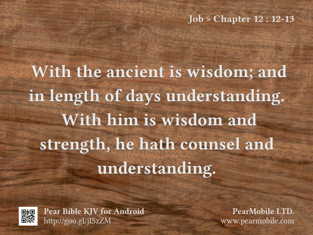 Job, Chapter 12:12-13